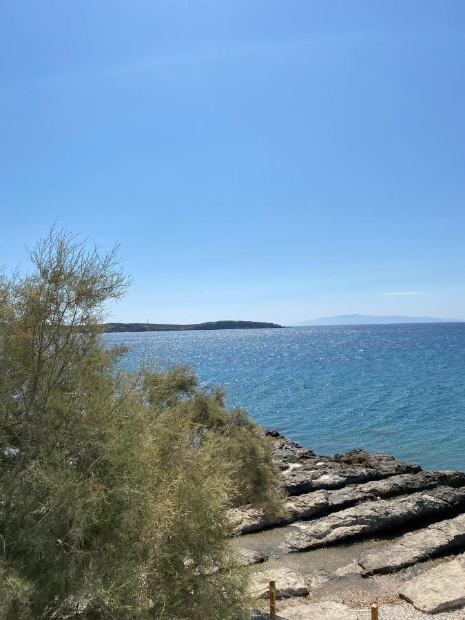 Cavos Studio By The Sea Villa Drios Esterno foto